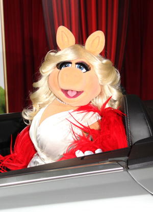 Miss Piggy wig