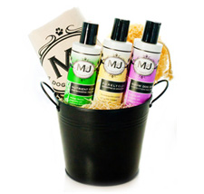 M&J Dog essentials for the pampered pup
