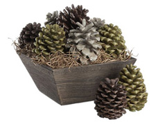 pinecone firestarters