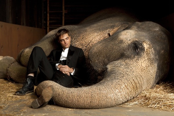 Robert Pattinson and Reese Witherspoon's Water for Elephants comes home