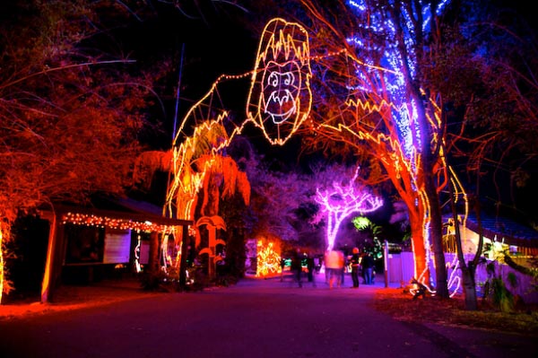 phoenix zoo lights