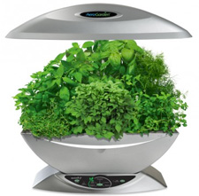 AeroGarden