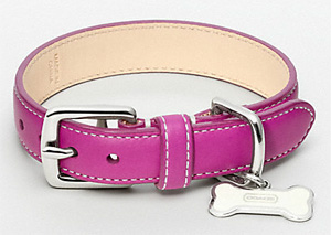 Coach Leather Collar with Dog Bone Charm