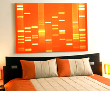 A portrait of Dad's DNA - DNA 11