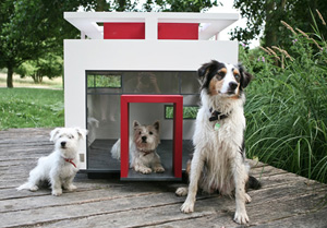 Cubix Mansion 