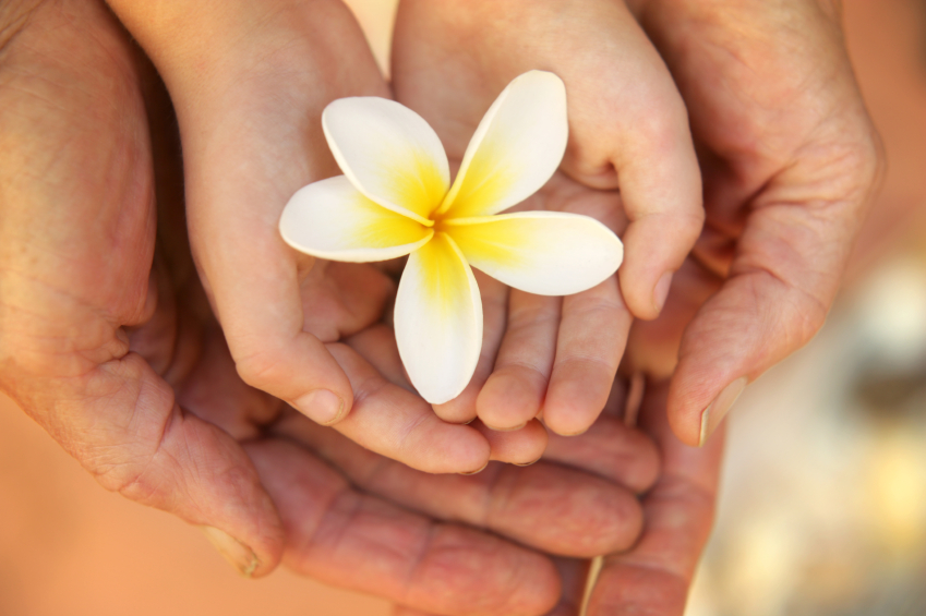 generation, child's hands in adult's hands holding flower, family, nurture