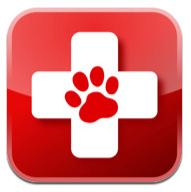 Pet First Aid