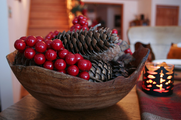 Pinecone and cranberry Christmas display