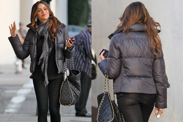 Sofia Vergara wears see-through pants while shopping