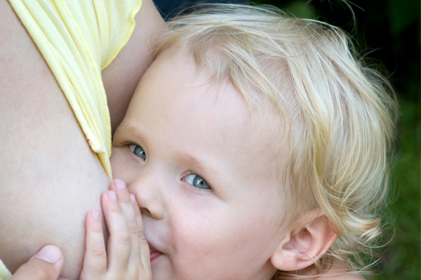 toddler breastfeeding