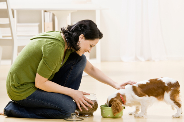 Woman feeding her dog dog food
