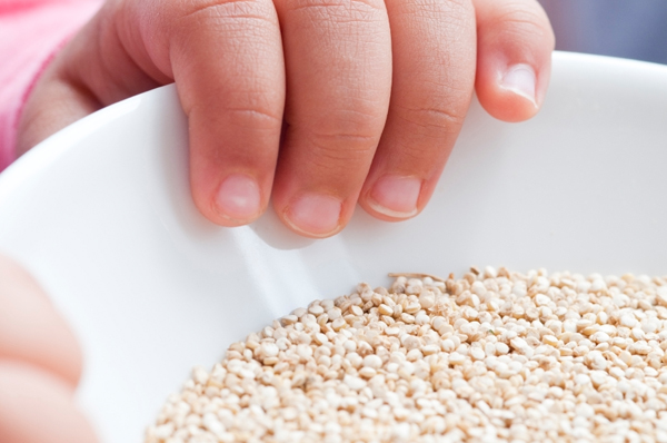 Quinoa