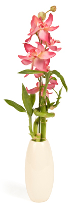 Bamboo vase