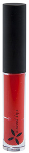 h.wood.beauty lip gloss in Cabo