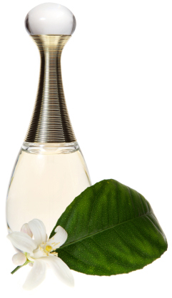 Floral fragrance