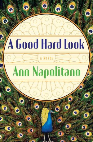 A Good Hard Look cover
