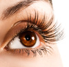 Long eyelashes
