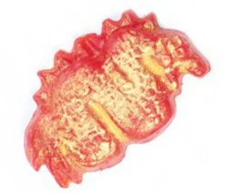 Red Dragon Soap