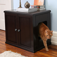 The Redefined Feline 
