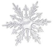 Snowflake