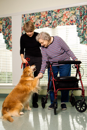 Therapy dog at nursing home