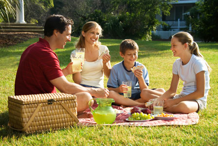 Family picnic at the park