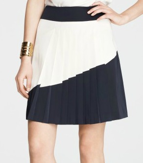 Ann Taylor skirt