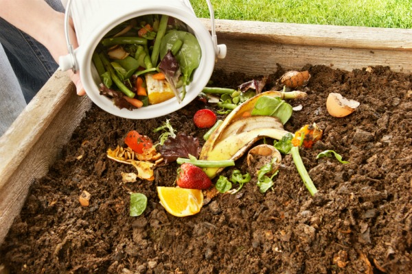 compost pile