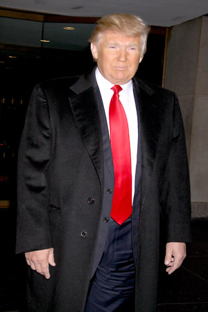 Donald Trump's hair endorses Mitt Romney