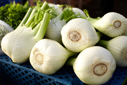 Fennel at farmer's market