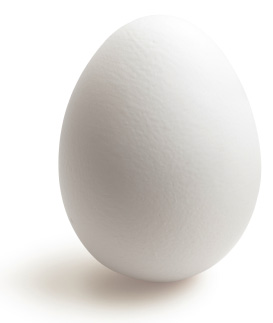 egg