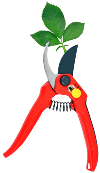 garden shear