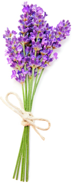Lavendar