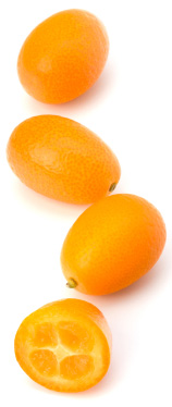 kumquat