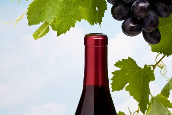Malbec wine