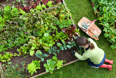 Raised garden bed