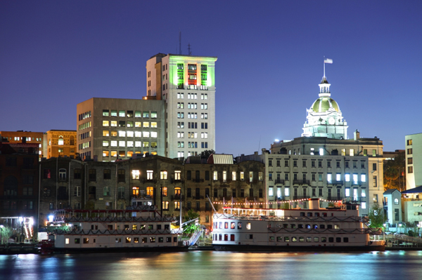 Savannah at night