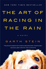 The Art of Racing in the Rain
