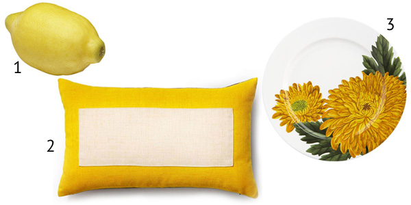 Yellow accent pieces
