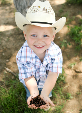 Boy holding bugs