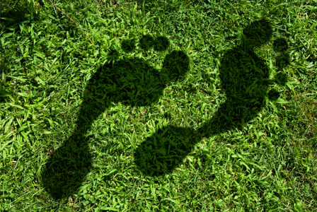Carbon footprint