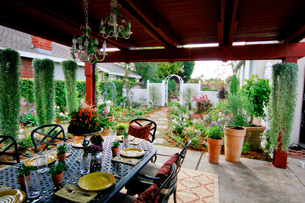 Chris Lambton's landscaping tips
