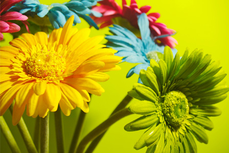 Decorating with neon flowers