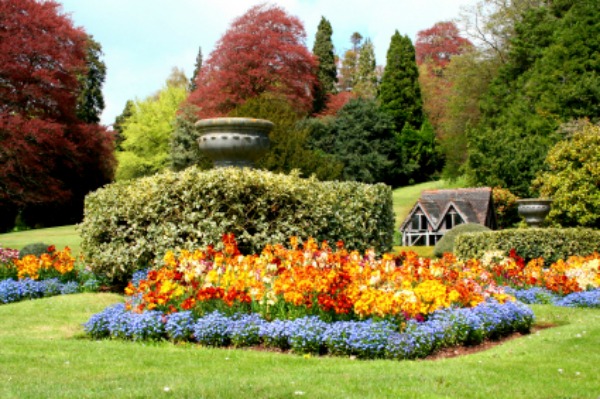 English garden