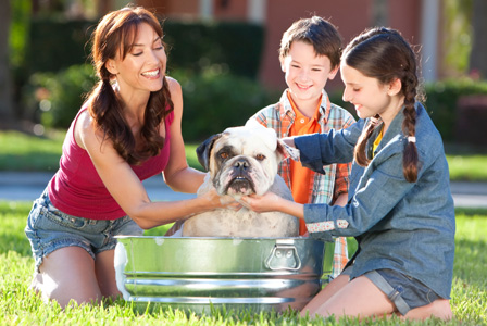 Family bathing dog outside