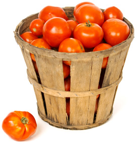 tomatoes