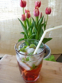 Mint tulip
