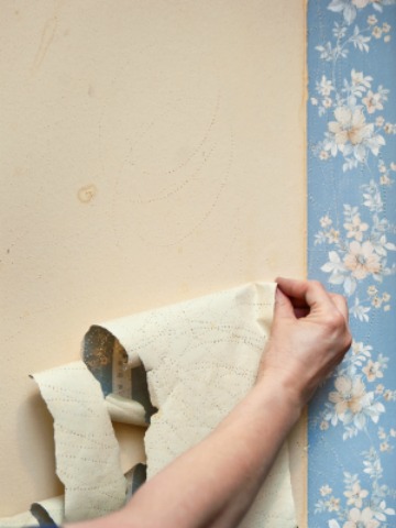 Wallpaper Removal on Diy Wallpaper Removal  Out With The Old  In With The Style
