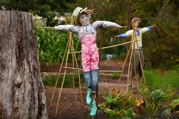 How To Make Your Own Scarecrow 