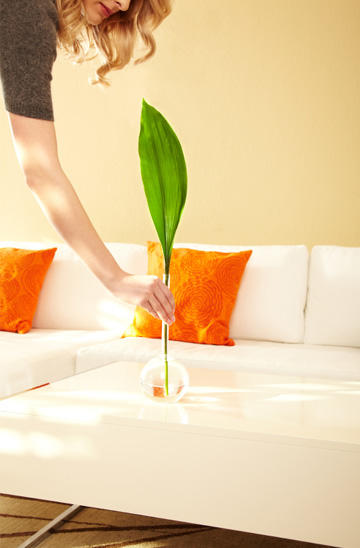 Spring decor trends
